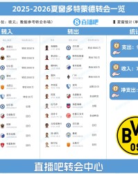 开云体育-多特夏窗豪掷近亿欧元：引进贝林厄姆兄弟与法比奥-席尔瓦，出售吉滕斯获利5600万